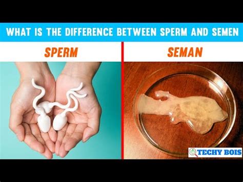 sperm manua|Swallowing Semen .